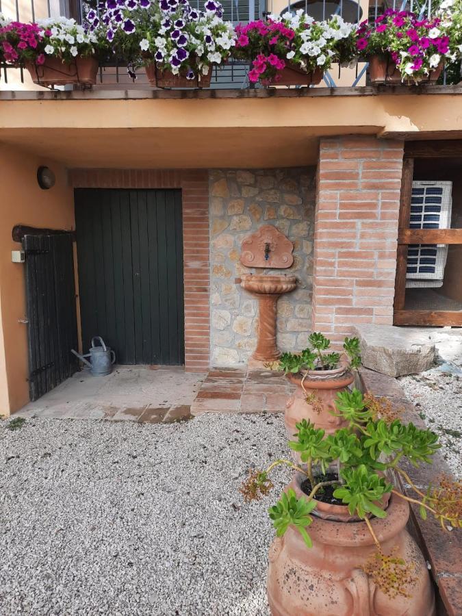 Agriturismo Il Truffarello