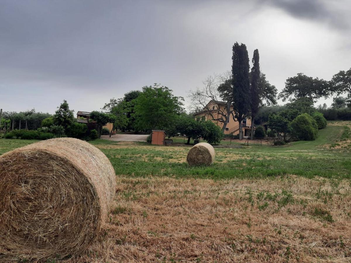 Agriturismo Il Truffarello Todi