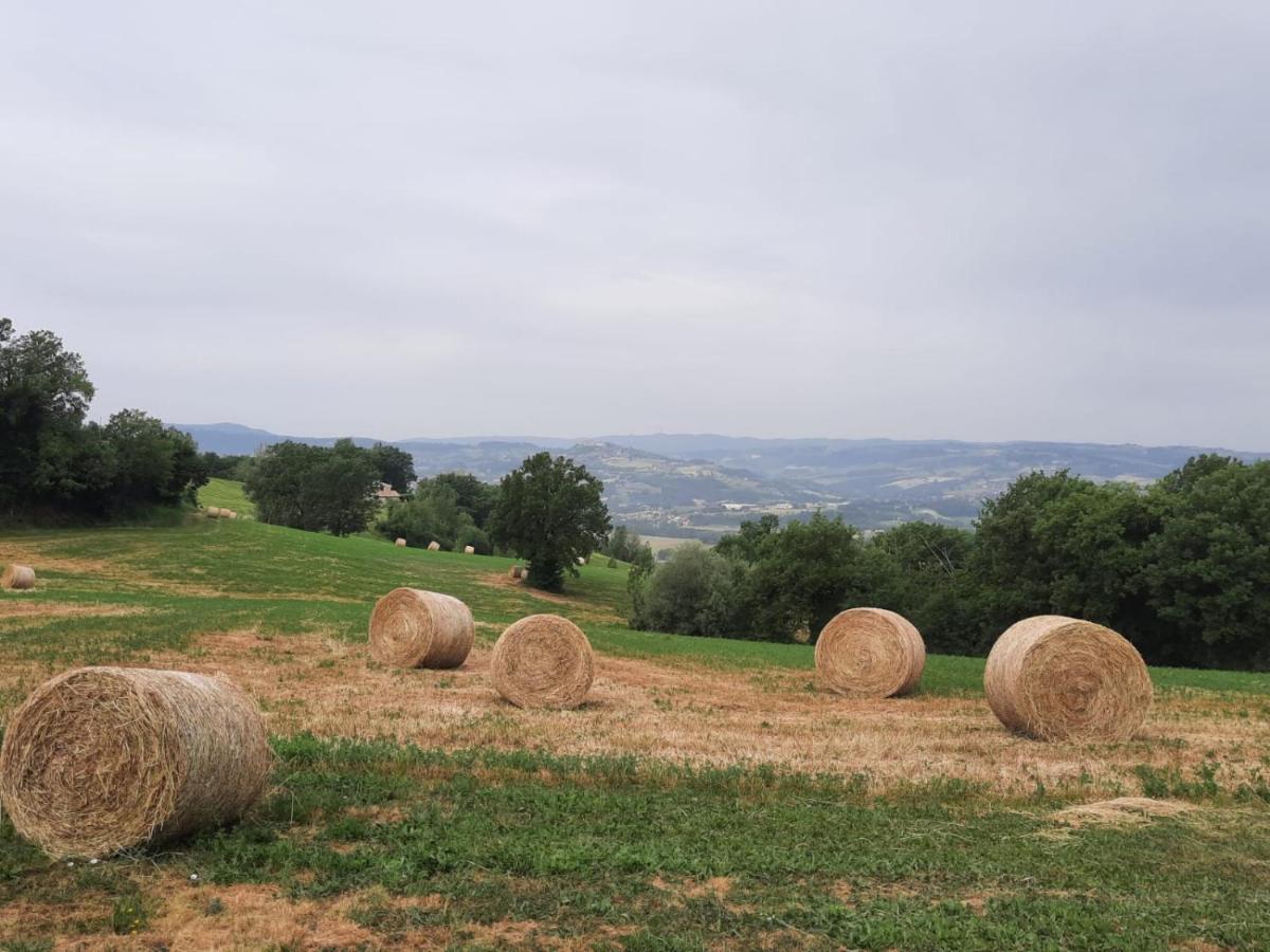Agriturismo Il Truffarello