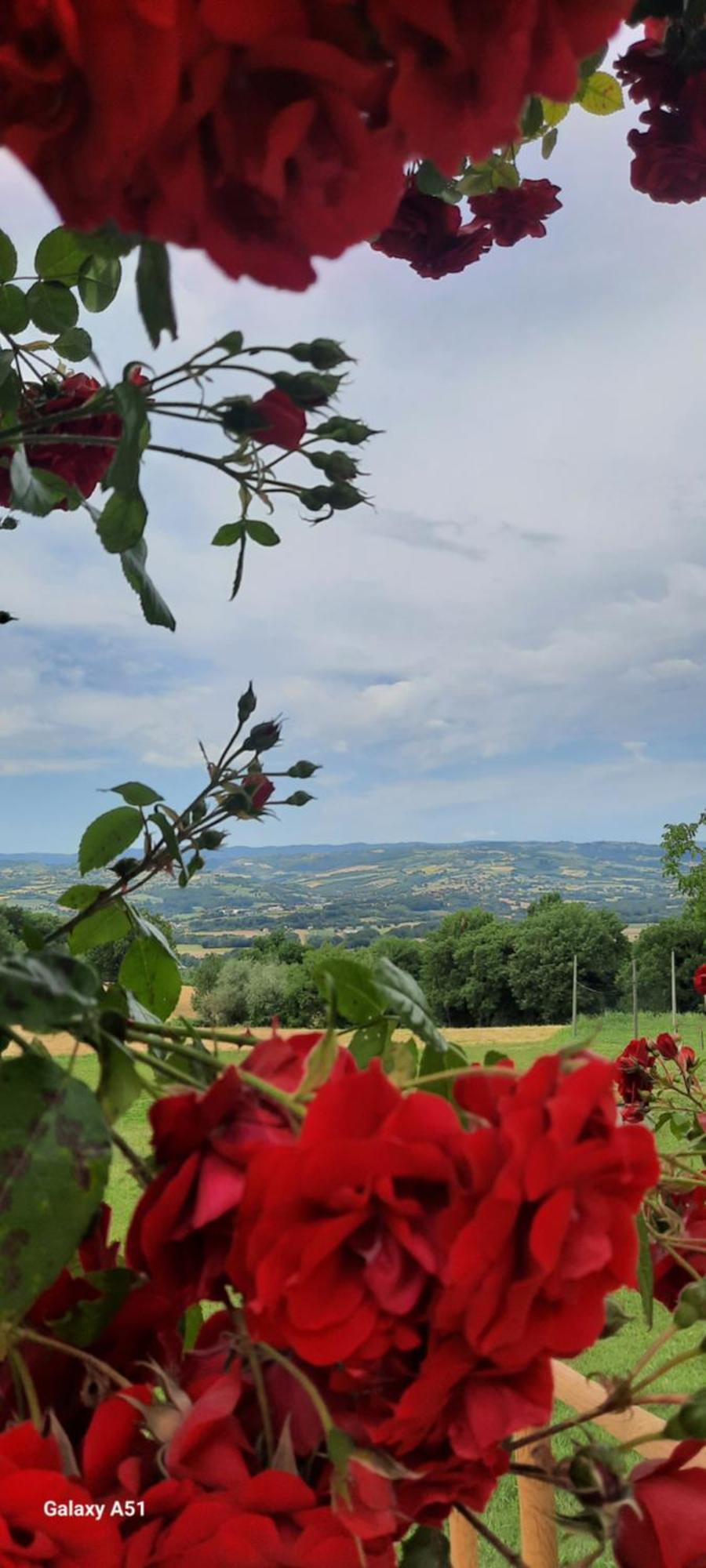 Agriturismo Il Truffarello Farm stay