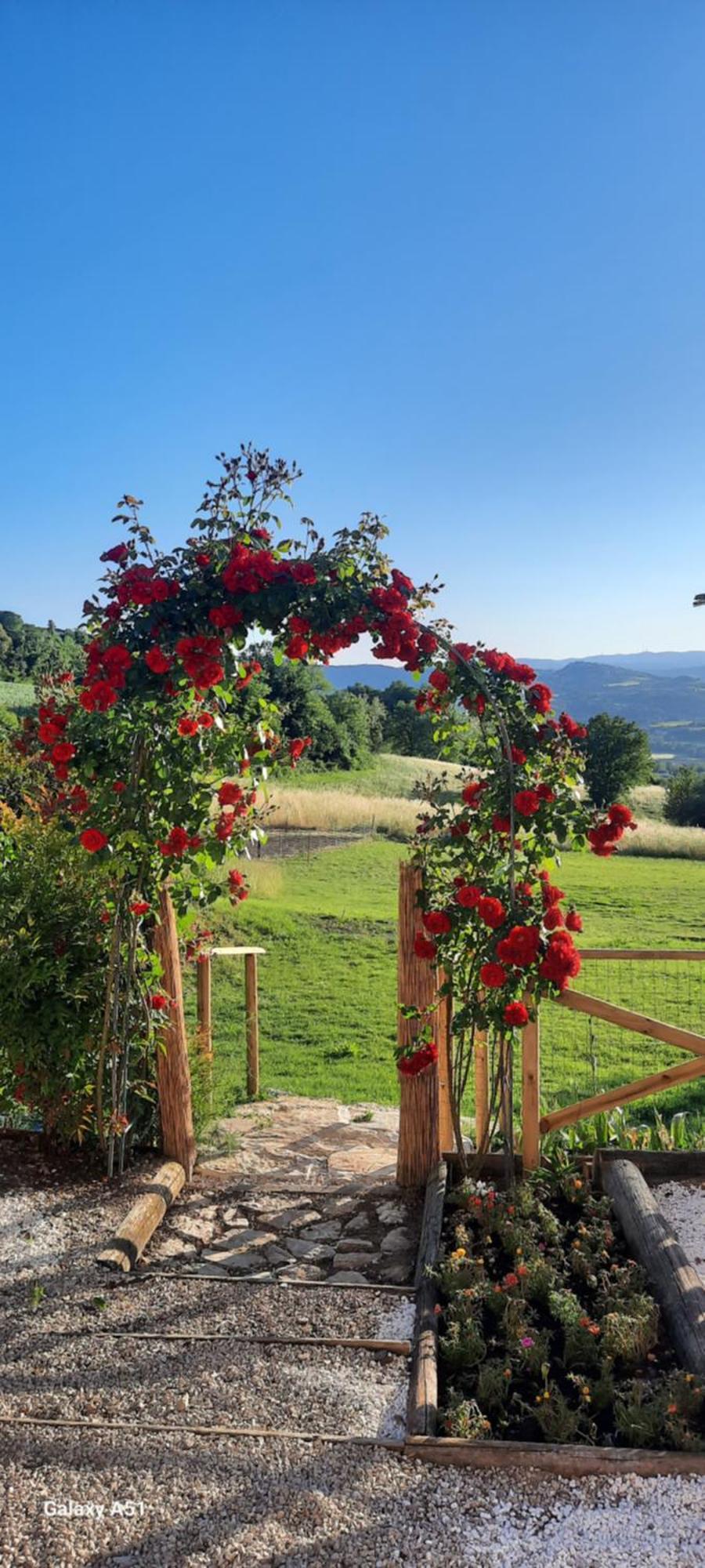 Farm stay Agriturismo Il Truffarello Todi