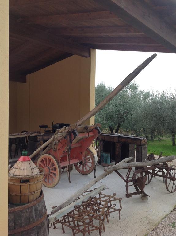 Farm stay Agriturismo Il Truffarello *