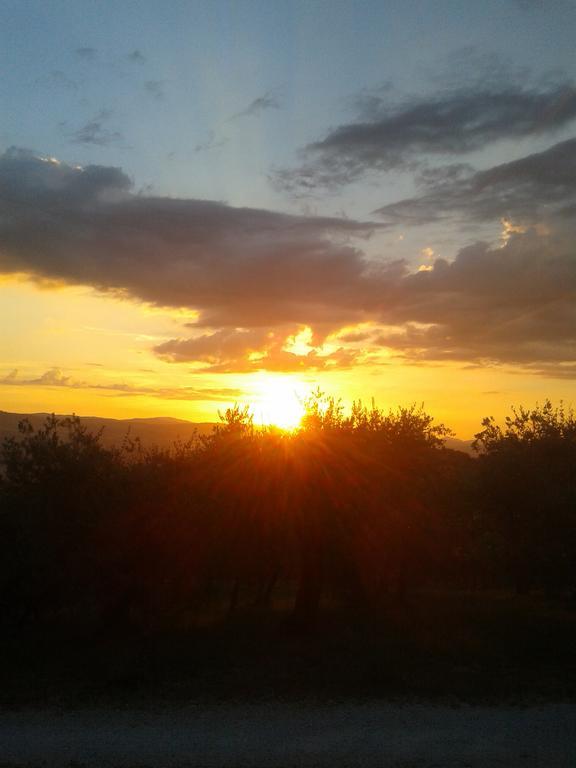 Farm stay Agriturismo Il Truffarello Todi