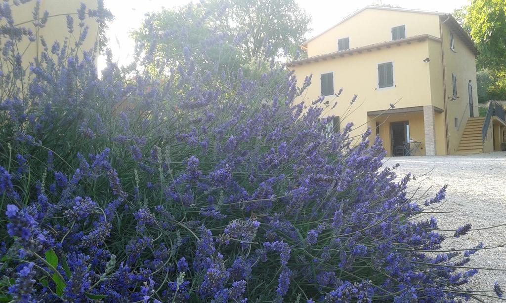 Farm stay Agriturismo Il Truffarello